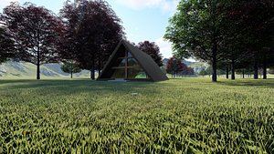 Desing House