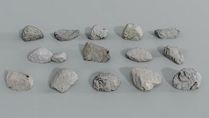 3D model realistic pack large forest