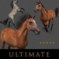 Ultimate Horse Collection