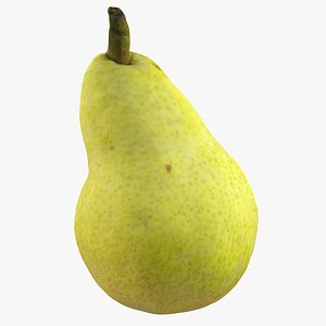 realistic pear max