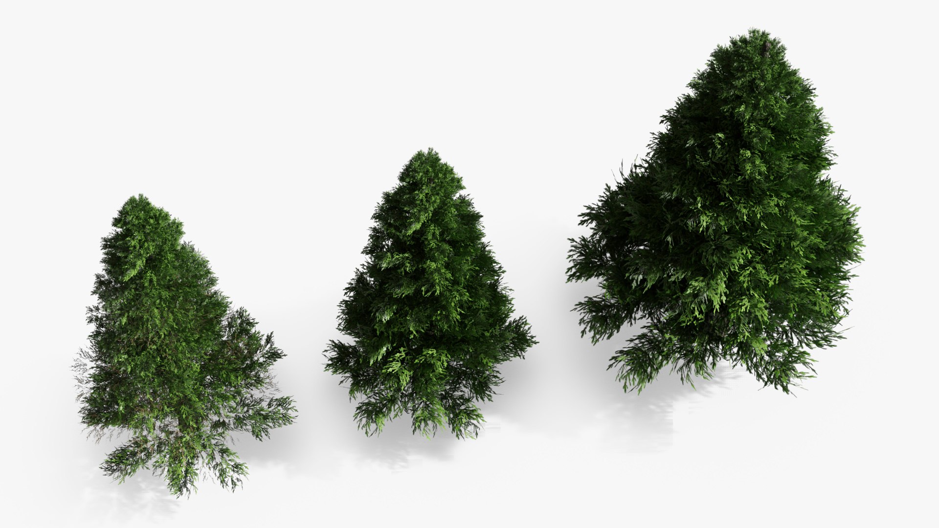 3D LowPoly Spruce Trees Set Dark Green https://p.turbosquid.com/ts-thumb/nj/YxlcLr/Jg/lowpoly_spruce_trees_set_dark_green_004/jpg/1781243722/1920x1080/fit_q87/c9d2ea859b185e85c290b23f518b28aaf1236a30/lowpoly_spruce_trees_set_dark_green_004.jpg