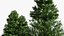 LowPoly Spruce Trees Set Dark Green