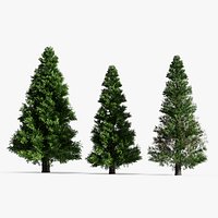 LowPoly Spruce Trees Set Dark Green