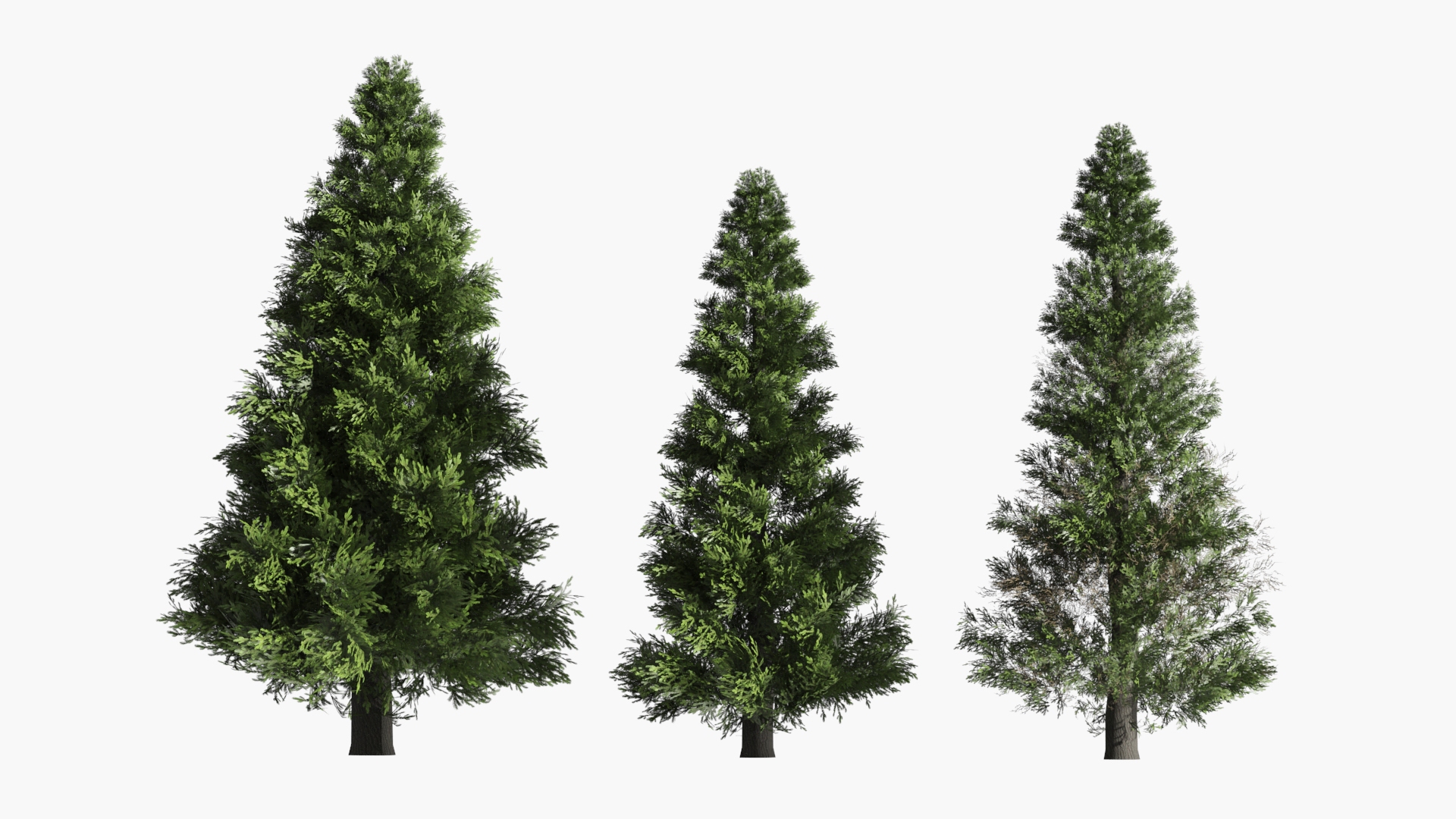 3D LowPoly Spruce Trees Set Dark Green https://p.turbosquid.com/ts-thumb/nj/YxlcLr/bJ/lowpoly_spruce_trees_set_dark_green_360/jpg/1781243650/1920x1080/turn_fit_q99/5c7e550b363aa9e2d4d58bbace11e6924524744f/lowpoly_spruce_trees_set_dark_green_360-1.jpg