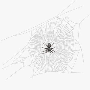 3D model Round Web with Spider