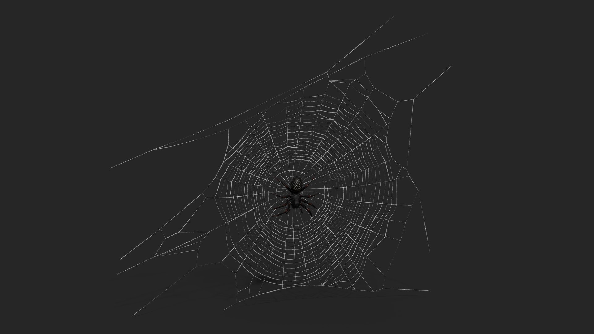 3D model Round Web with Spider https://p.turbosquid.com/ts-thumb/nj/c7Umzs/pK/roundwebwithspidervray3dmodel004/jpg/1712265209/1920x1080/fit_q87/f78a18ac298ca42d8c02bcd59b1ec2803a40f445/roundwebwithspidervray3dmodel004.jpg