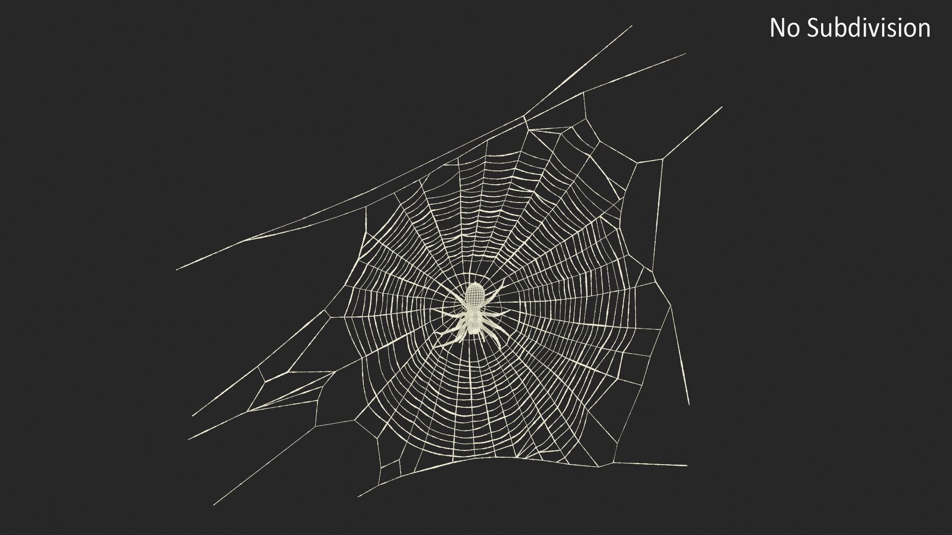 3D model Round Web with Spider https://p.turbosquid.com/ts-thumb/nj/c7Umzs/t1/roundwebwithspidervray3dmodel009/jpg/1712265231/1920x1080/fit_q87/6851ea0795a6795a82b2b53ea9043fbc3b0d91c5/roundwebwithspidervray3dmodel009.jpg