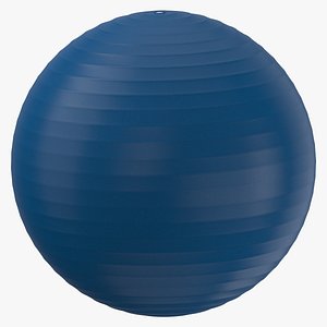 Exercise Ball Size 03 Clean and Dirty