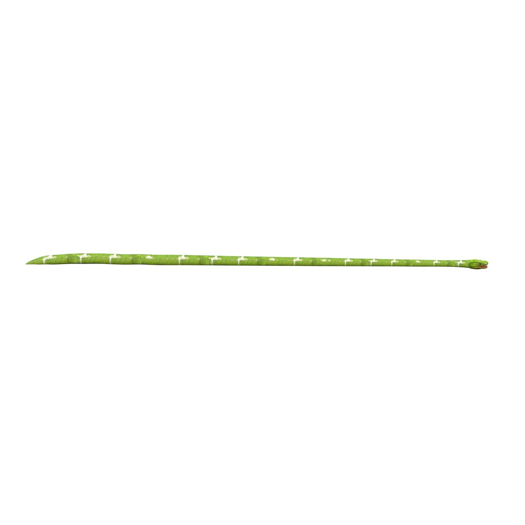 Green Snake Rig 3D Model - TurboSquid 2250823