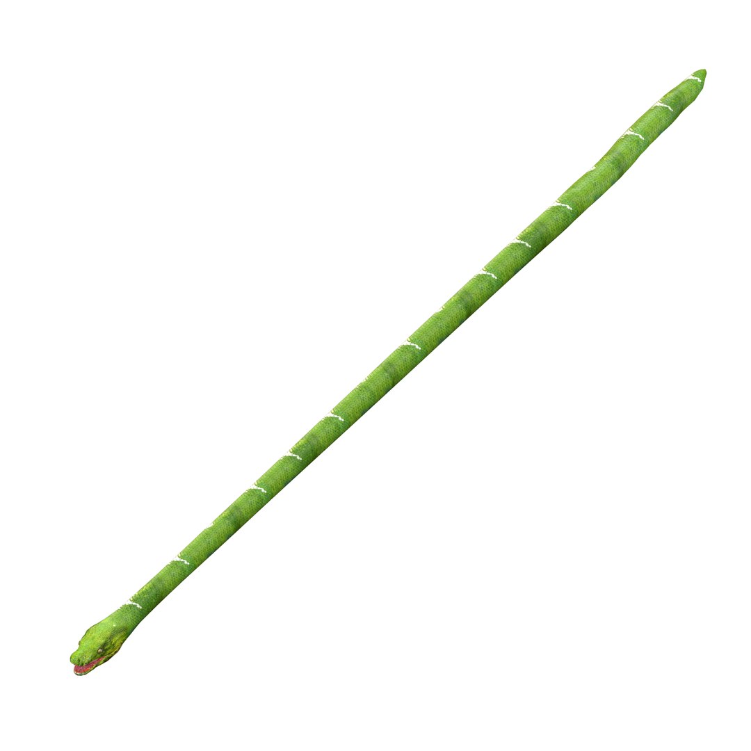Green Snake Rig 3D Model - TurboSquid 2250823