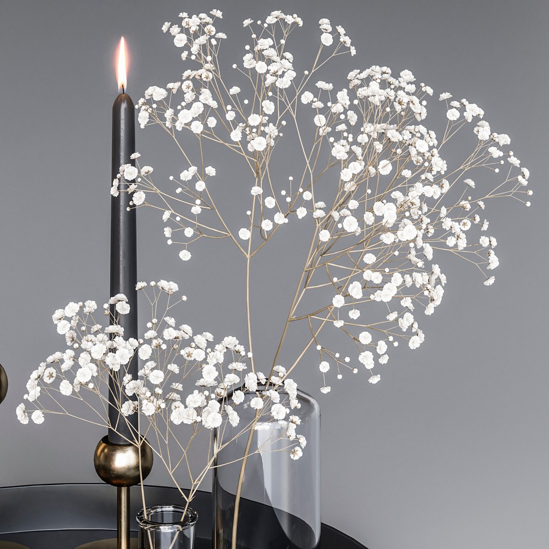 set dry gypsophila 3D model https://p.turbosquid.com/ts-thumb/nk/2uORAF/qL/33/jpg/1615468460/1920x1080/fit_q87/d28337759273095d3dbf98819c94c0c5ce0be6f2/33.jpg