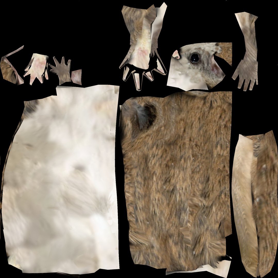 Flying squirrel low poly 3D https://p.turbosquid.com/ts-thumb/nk/9IJclp/VB/fly_squirrel.uv/png/1707751109/1920x1080/fit_q87/ab26f9878a1d9b957dd738d303fc6a6aa233e5d6/fly_squirrel.uv.jpg