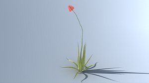 3D grass