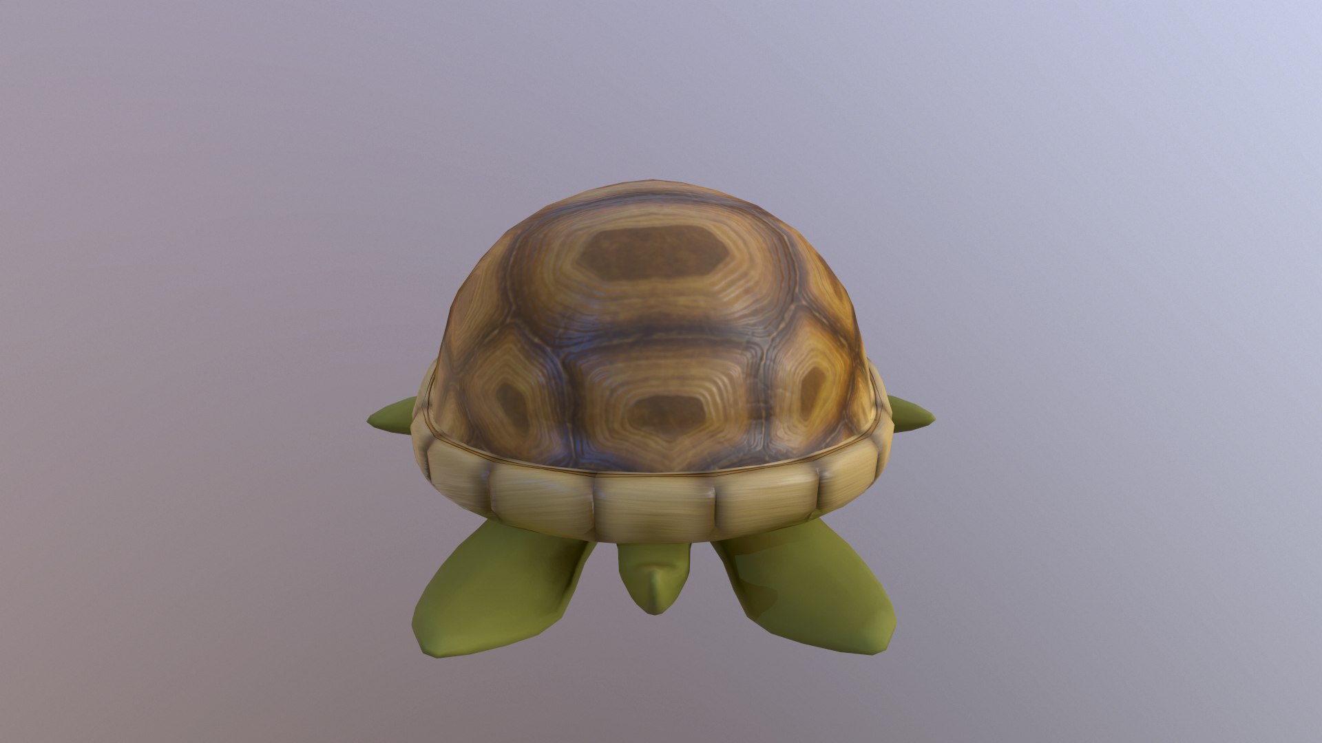 Sea Turtle 3D Model - TurboSquid 1375223