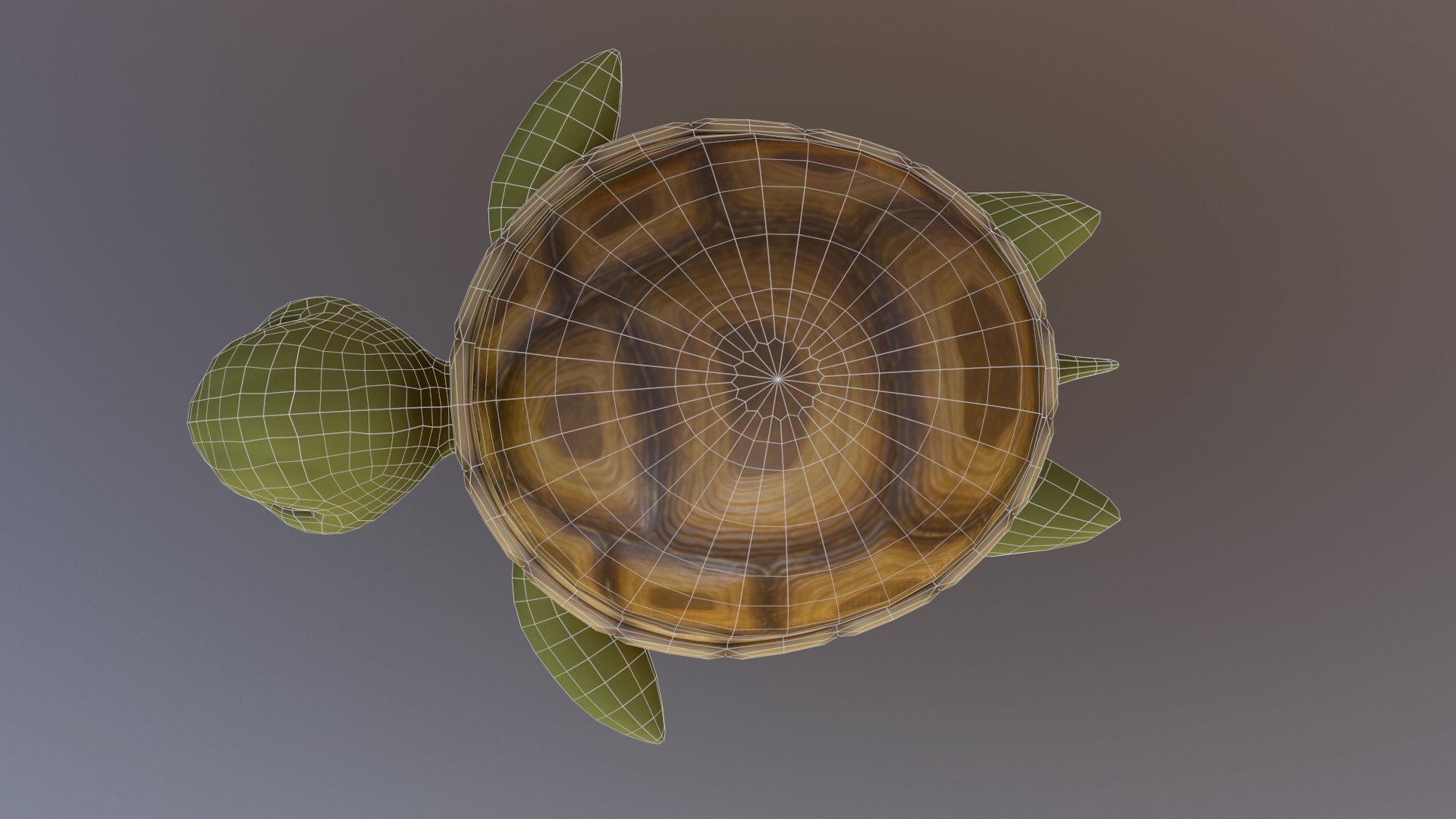 Sea Turtle 3D Model - TurboSquid 1375223