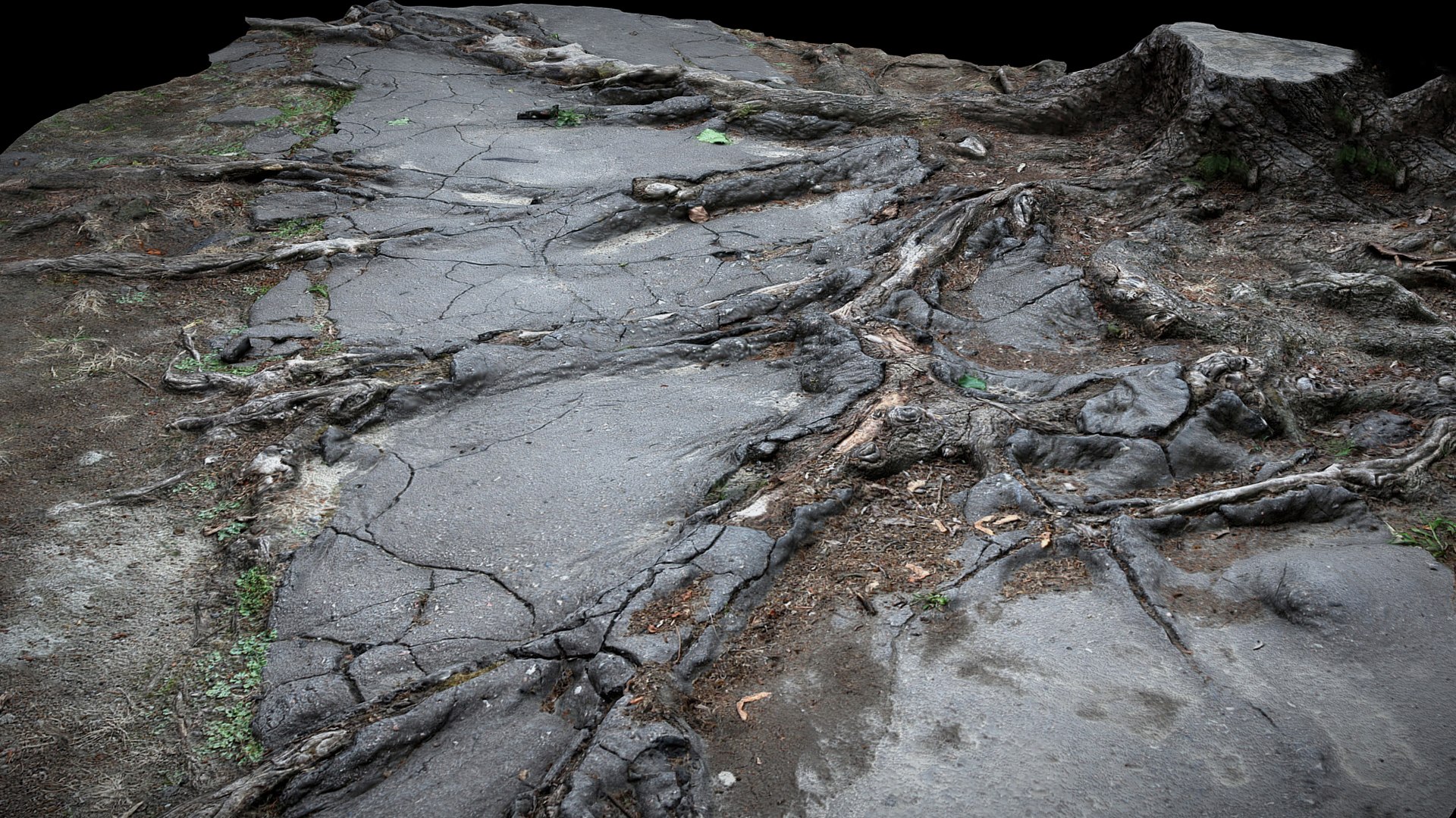 3D Asphalt Damaged Road Tree Roots Part11 Photogrammetry - TurboSquid ...