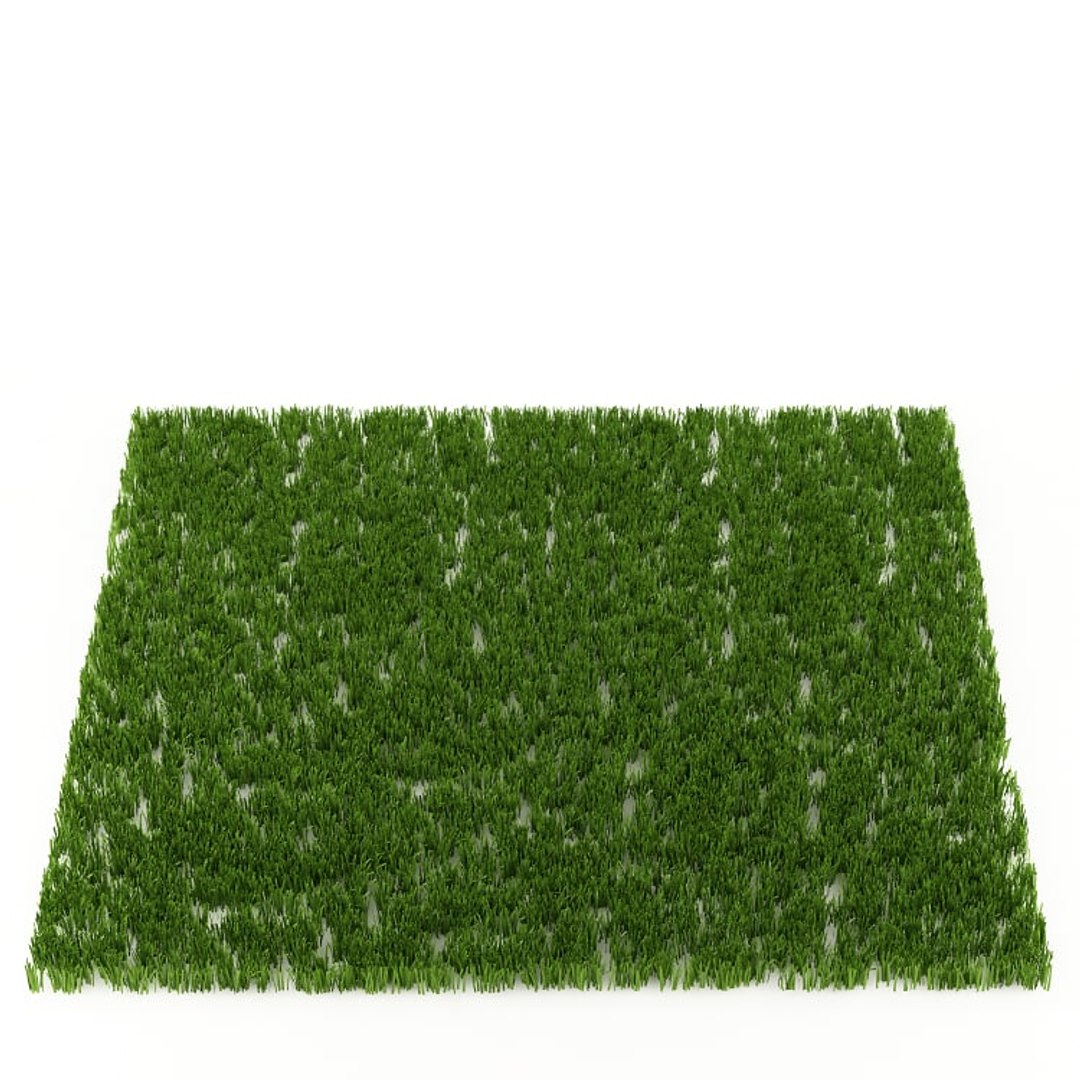 grass max https://p.turbosquid.com/ts-thumb/nk/RngPet/krDd7iI7/sk4.bmp2096e18f20274959a3a812a2746ceffdoriginal/jpg/1467830991/1920x1080/fit_q87/3c31c700ec6f79f087a6c48cb1d30d100a49213d/sk4.bmp2096e18f20274959a3a812a2746ceffdoriginal.jpg