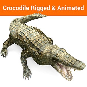 crocodile rigged and animated