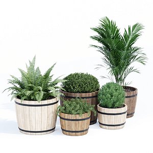 3D model wood pot barrel
