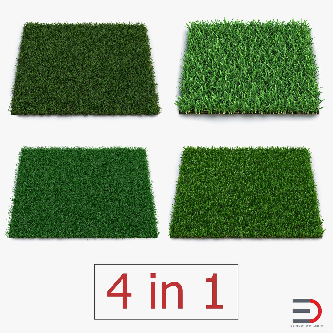 grass fields 3 3d obj https://p.turbosquid.com/ts-thumb/nk/XOLfqz/Ocqu6pQZ/grassfieldscollection3dmodels00/jpg/1490085369/1920x1080/fit_q87/d7d3d39538426507a352353e96df0e990ee2bb34/grassfieldscollection3dmodels00.jpg