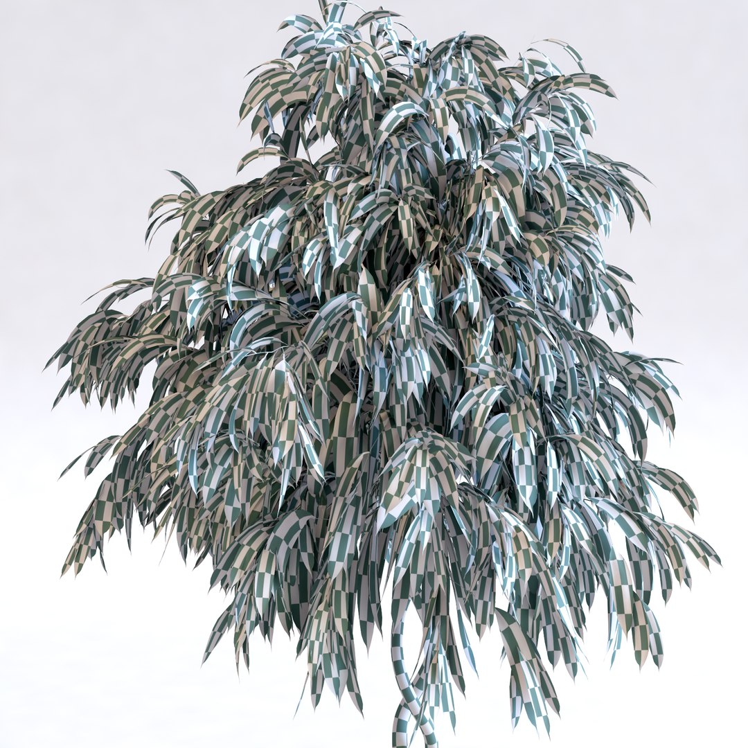 max realistic ficus tree