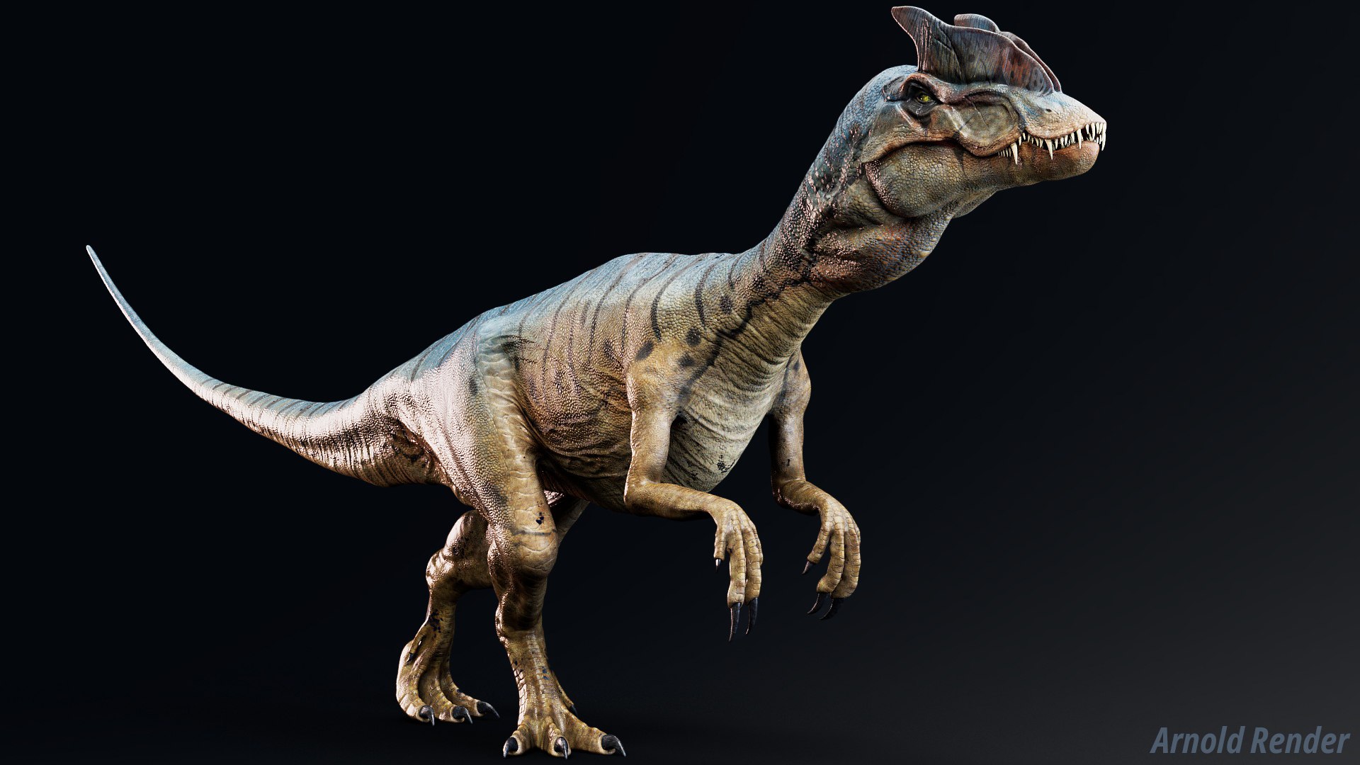 3D Dinosaur - Hybrid Dilophosaurus Unity Project Model - TurboSquid 2263484