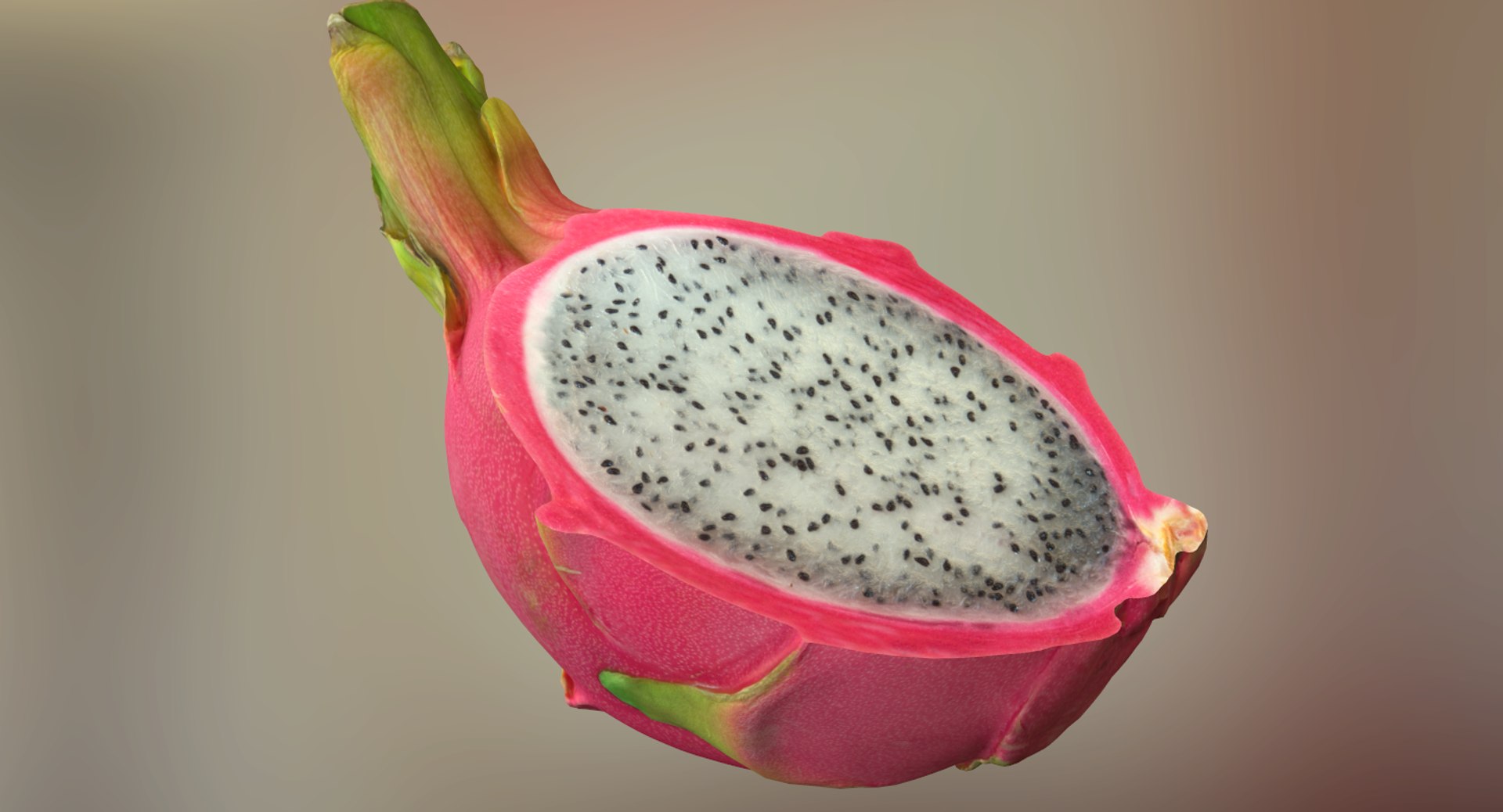 max scaned sliced dragonfruit pitaya https://p.turbosquid.com/ts-thumb/nk/tTBaaH/0OiHu4DL/screenshot002/png/1453839867/1920x1080/fit_q87/ae844776dd3e8414b3d6b22a01084715c16bc6ae/screenshot002.jpg