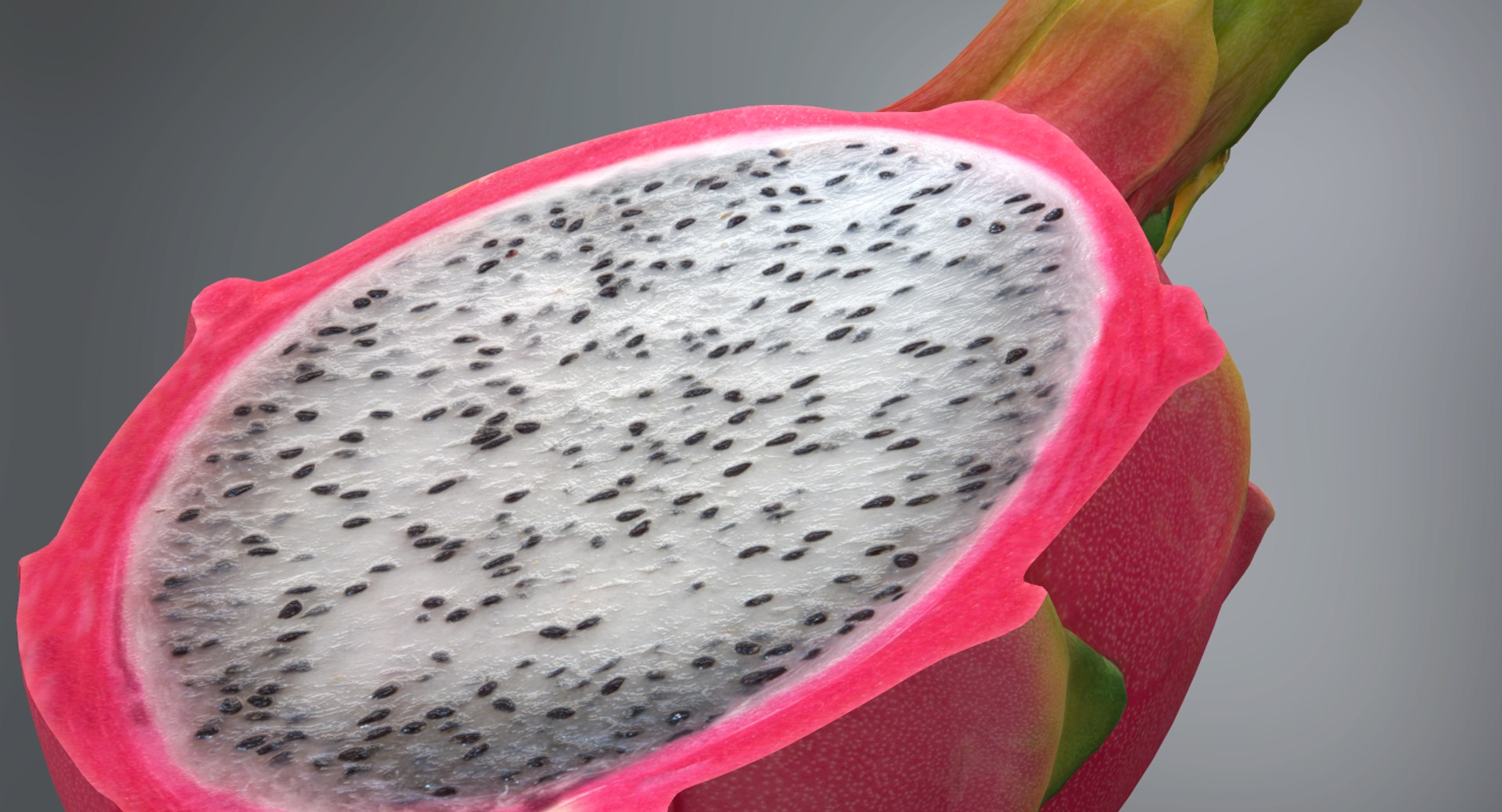 max scaned sliced dragonfruit pitaya https://p.turbosquid.com/ts-thumb/nk/tTBaaH/6A4HkiPx/screenshot004/png/1453839867/1920x1080/fit_q87/103ef3bb55f0c455a23510f9cad5ae7f4f72dfa6/screenshot004.jpg