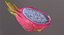 Affettato Realistico Pitaya Dragonfruit