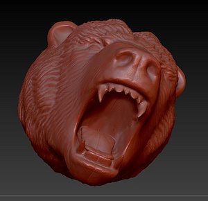 Angry bear head