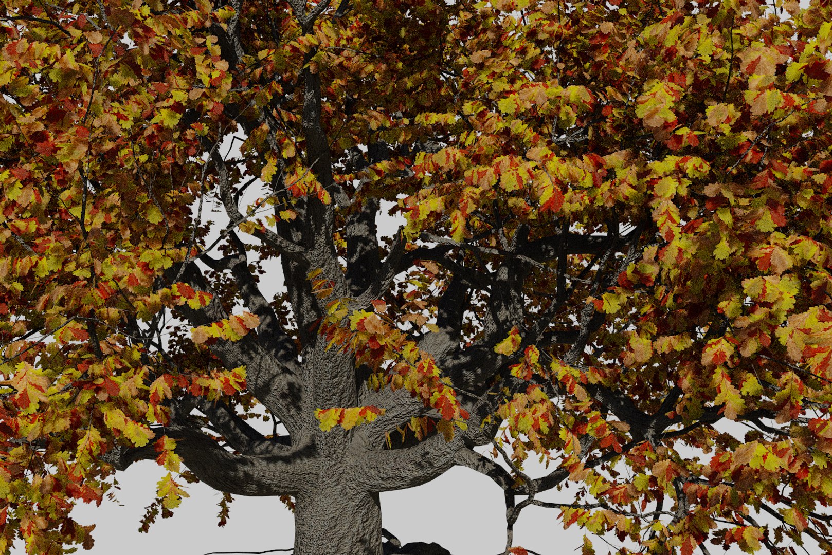 3D Oak Autumn 6 Tree - TurboSquid 1380499