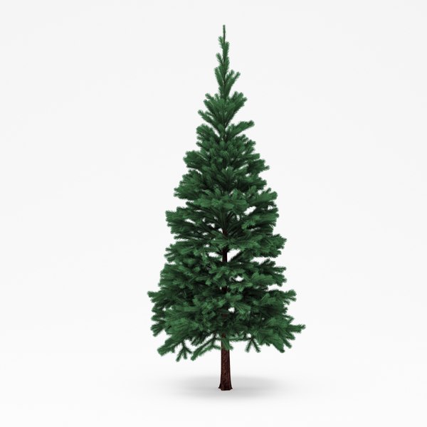 3d conifer 08