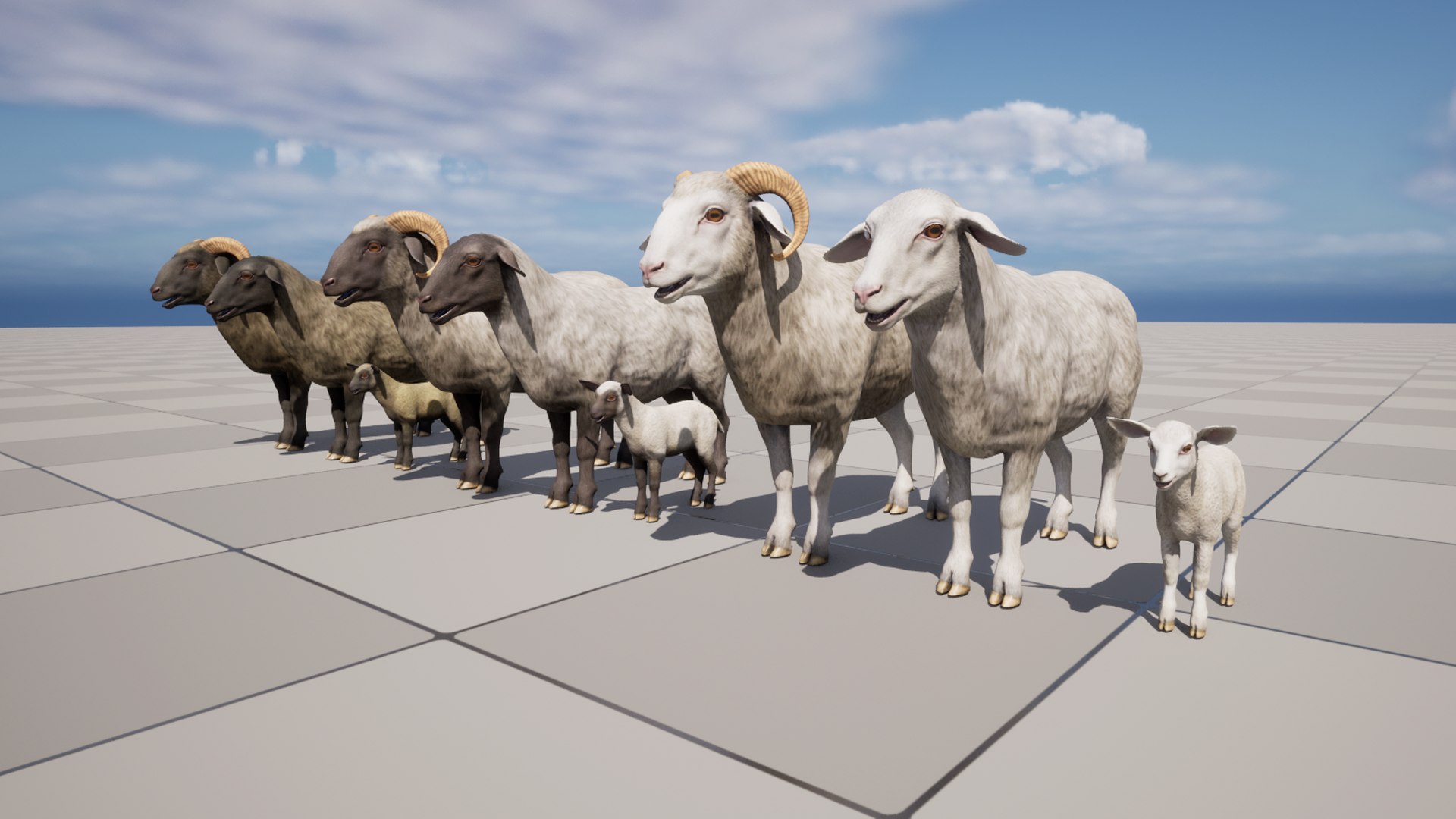 Sheep Family Model - TurboSquid 2361571