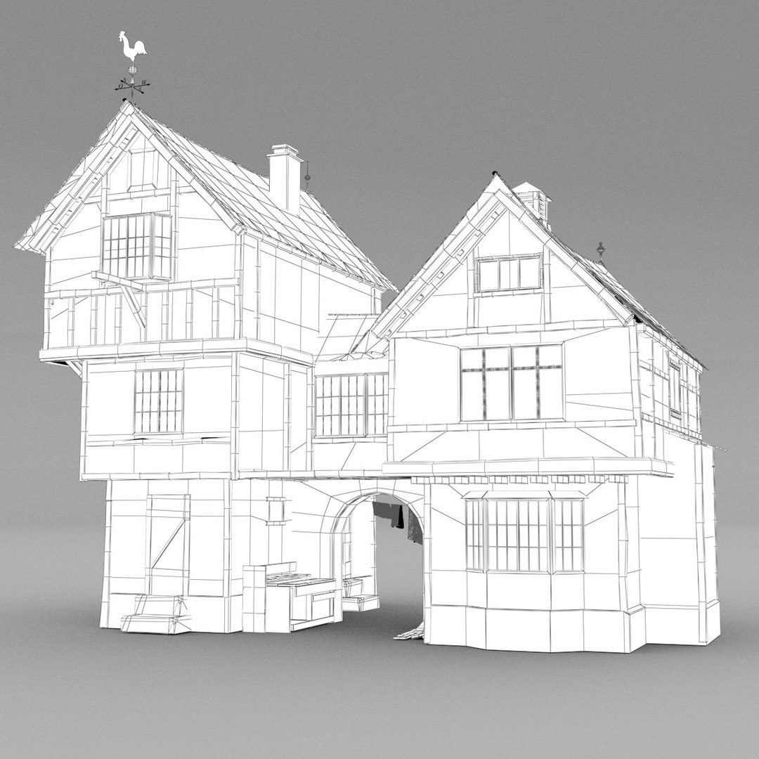 Max Tudor House