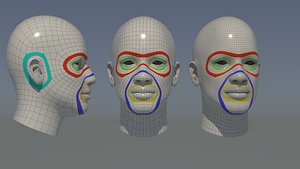 Base Male Head 3D model