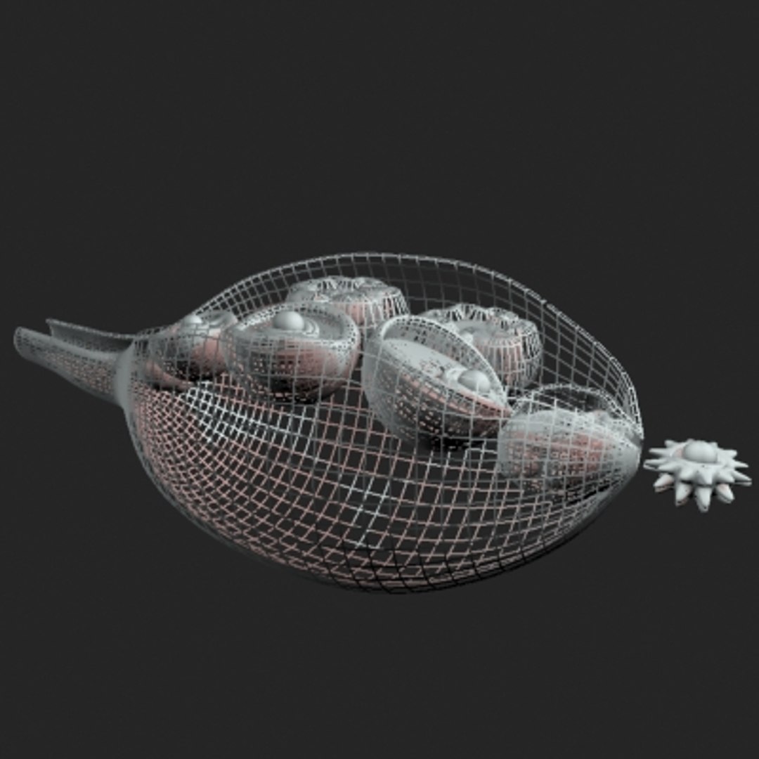maya ovarian cycle https://p.turbosquid.com/ts-thumb/nl/VJ7gT5/V8X5ZKVO/ovariancycle3/jpg/1243510649/1920x1080/fit_q87/0fb56c7e3eee8f13d56ea7041c917c607ae600ad/ovariancycle3.jpg