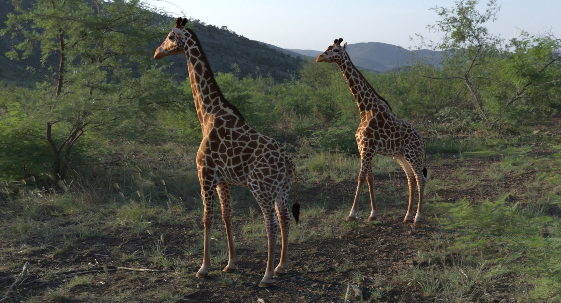 Rigged African Animals Collection 8 for Cinema 4D 3D https://p.turbosquid.com/ts-thumb/nl/WRwt6Q/1E/riggedafricananimalscollection83dmodel066/jpg/1611596376/1920x1080/fit_q87/6476d7a378f8157274b6b1124a9f9822d086ecce/riggedafricananimalscollection83dmodel066.jpg