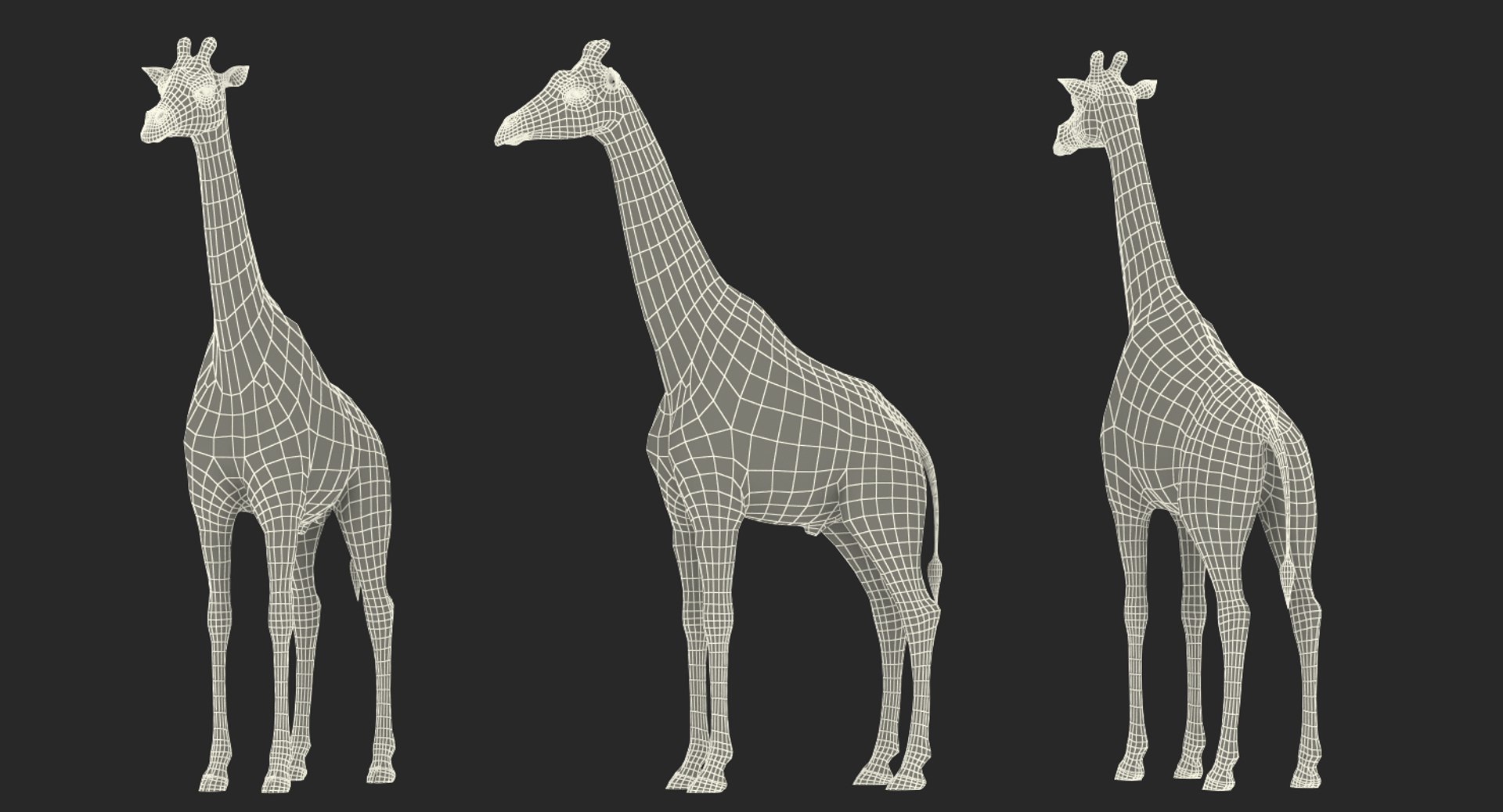 Rigged African Animals Collection 8 for Cinema 4D 3D https://p.turbosquid.com/ts-thumb/nl/WRwt6Q/Au/riggedafricananimalscollection83dmodel131/jpg/1611596398/1920x1080/fit_q87/9e665e073edad0da7d4ebc77beffdd0196d19d26/riggedafricananimalscollection83dmodel131.jpg