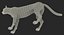 Rigged African Animals Collection 8 для Cinema 4D