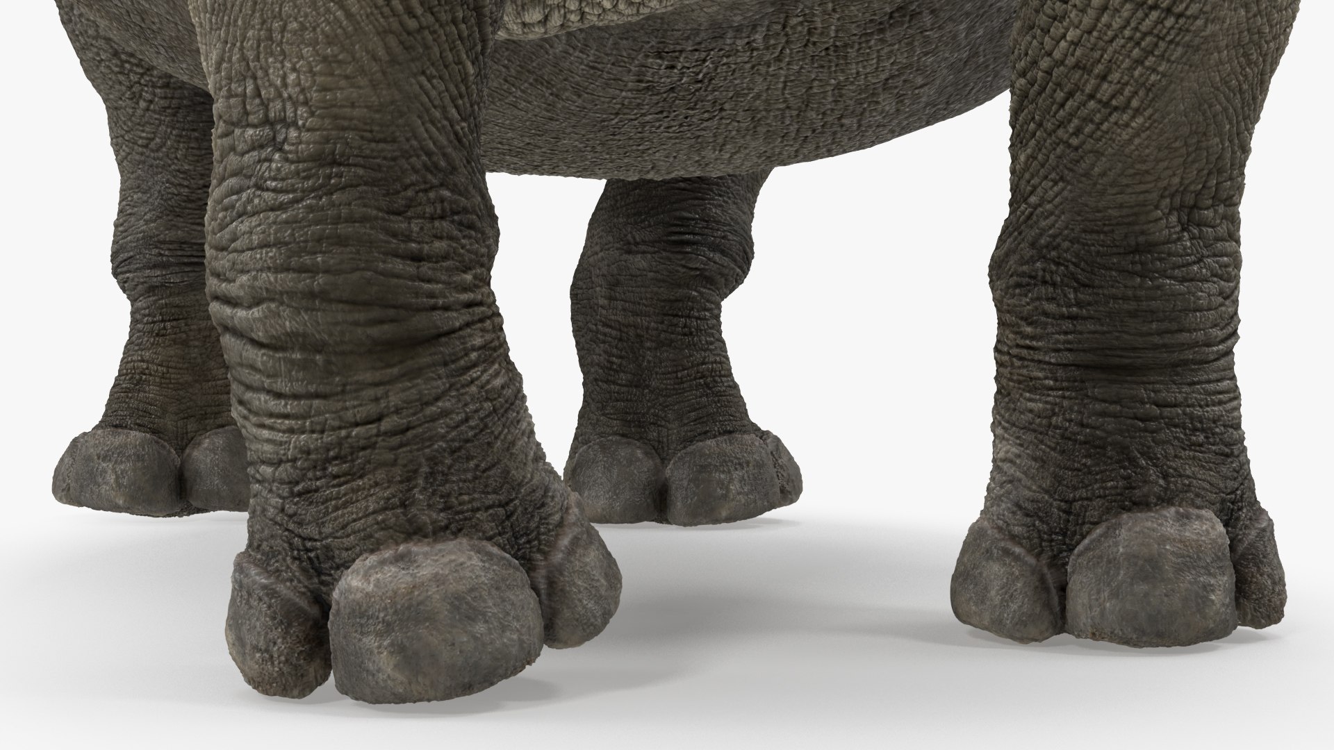 Rigged African Animals Collection 8 for Cinema 4D 3D https://p.turbosquid.com/ts-thumb/nl/WRwt6Q/pc/riggedafricananimalscollection83dmodel023/jpg/1611596335/1920x1080/fit_q87/b4a3bad55d2adcdd8f5662ec810fd834d07aa7b4/riggedafricananimalscollection83dmodel023.jpg
