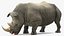 Rigged African Animals Collection 8 для Cinema 4D