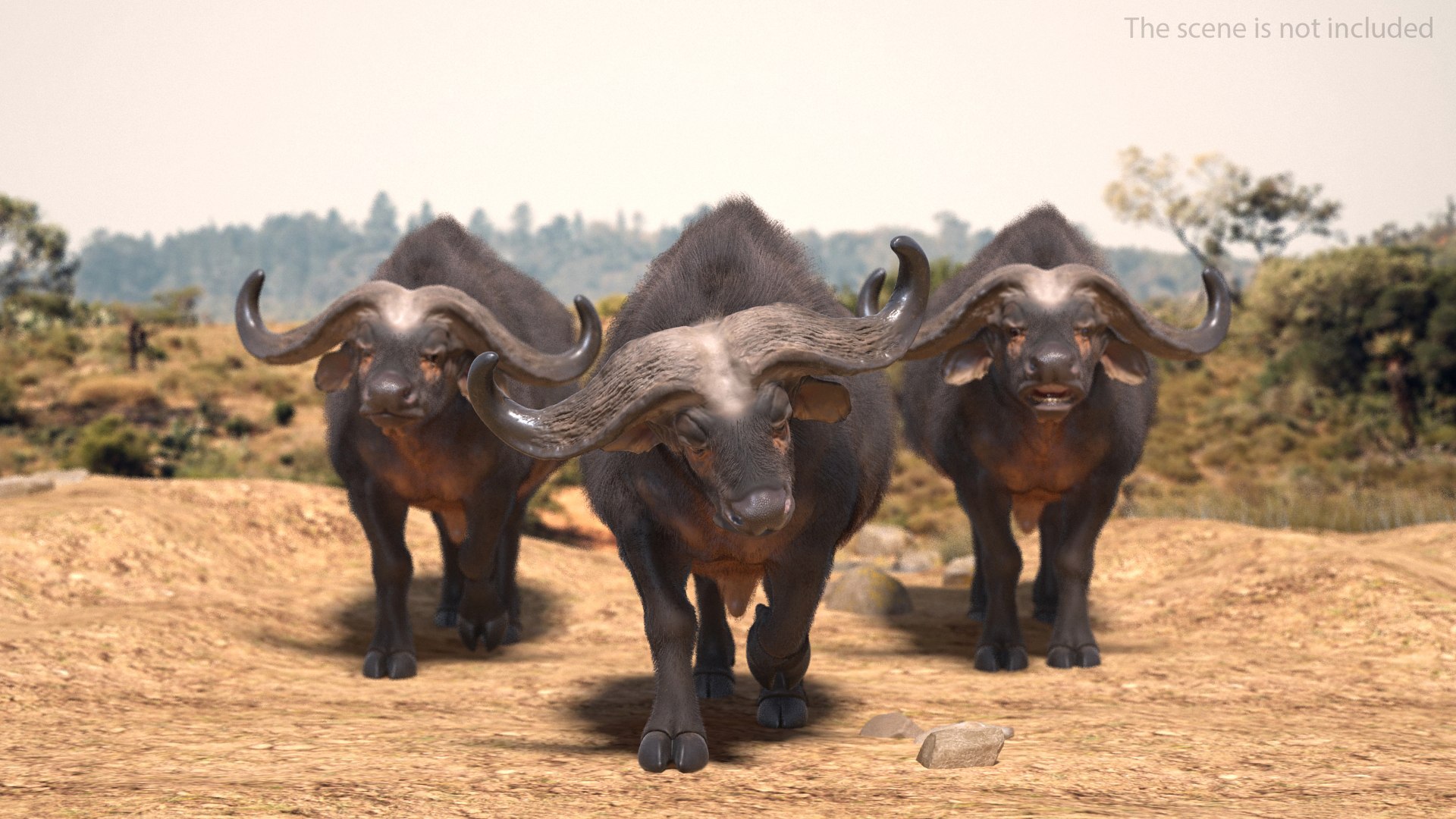 Rigged African Animals Collection 8 for Cinema 4D 3D https://p.turbosquid.com/ts-thumb/nl/WRwt6Q/u8/riggedafricananimalscollection83dmodel029/jpg/1611596344/1920x1080/fit_q87/fad47c6b01505b076955a8ed3ff23856601d2a29/riggedafricananimalscollection83dmodel029.jpg