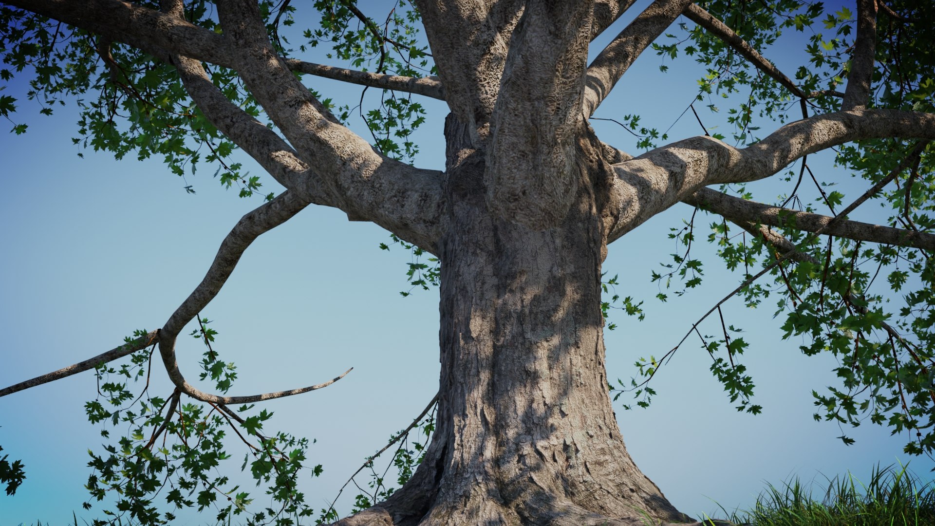 Tree On The Road - Complete Tree Package With Particles 3D Model ...
