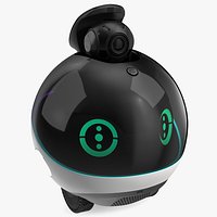 Home Companion Robot Green