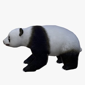 Urso panda dos desenhos animados Modelo 3D $9 - .stl .obj .blend