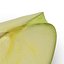 max green apple slice modeled