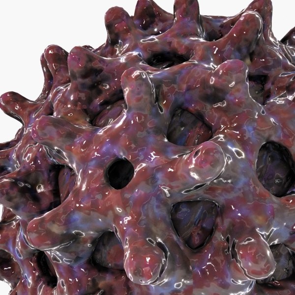 Hepatitis B Virus 3d Model