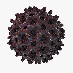 Hepatitis B Virus