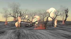Forest fire