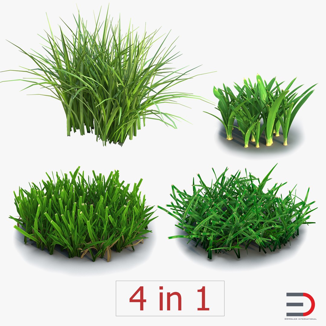 Grass Collection 3D model preview